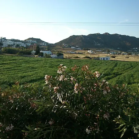 ホテル Anatolia 4*