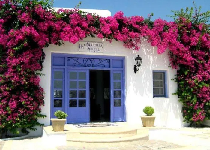 Anatolia 호텔 아노 메라